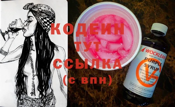 спиды Каменногорск