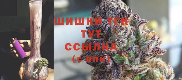 спиды Каменногорск