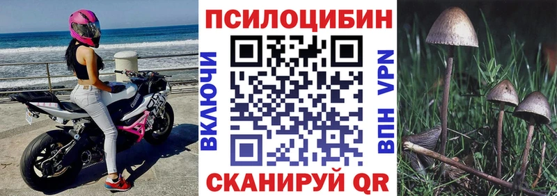 Псилоцибиновые грибы Psilocybine cubensis  Купить  Белёв 